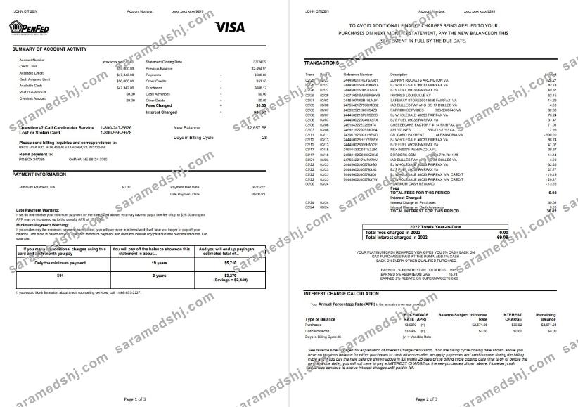 USA Pentagon Federal Credit Union (PenFed) bank statement 3 pages